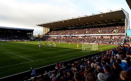 他们引入了 他们引入了